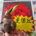 荷兰进口重瓣朱顶红浓香型四季开花植物室内盆栽