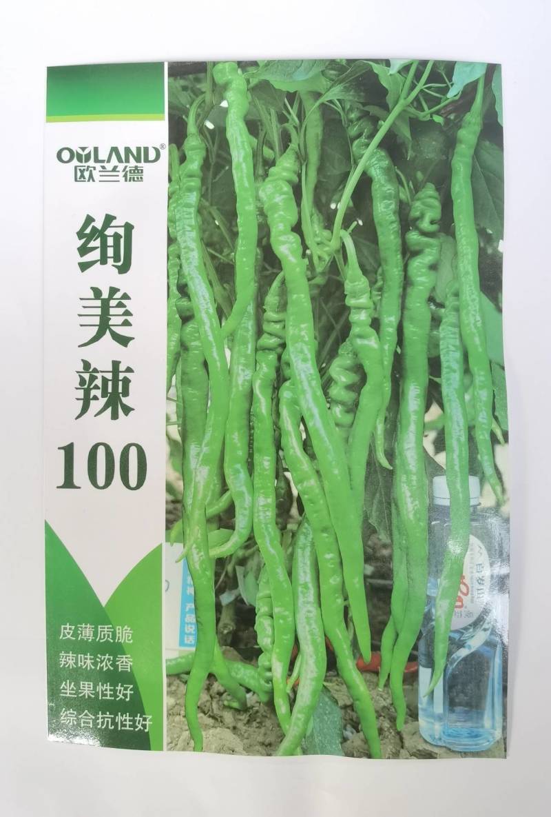 薄皮螺丝线椒种子！绚美辣100特辣坐果量大高品质辣椒种子