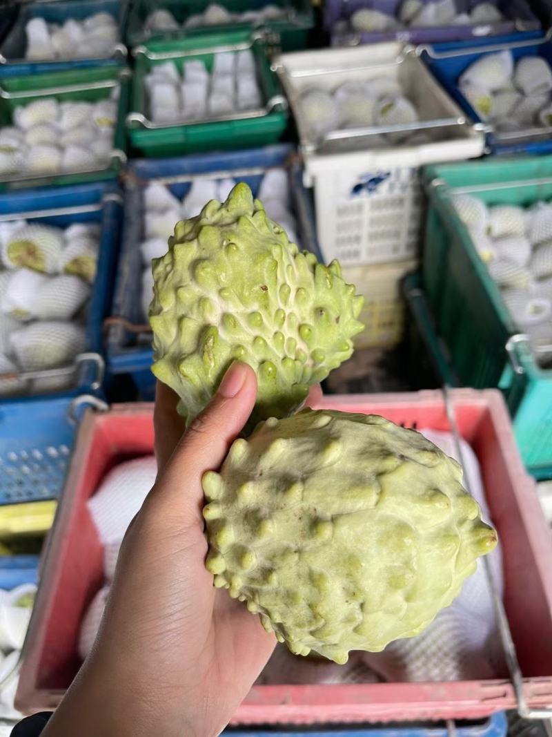 台湾释迦果
