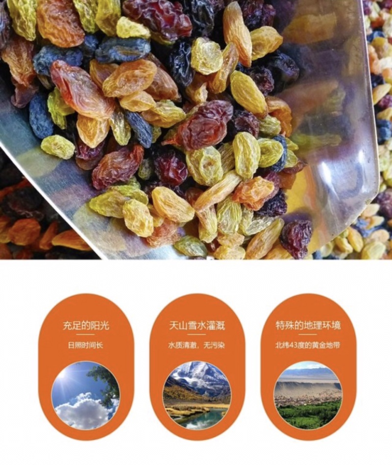 彩虹葡萄干（特级+一级五种葡萄干混合口味装）多种规格