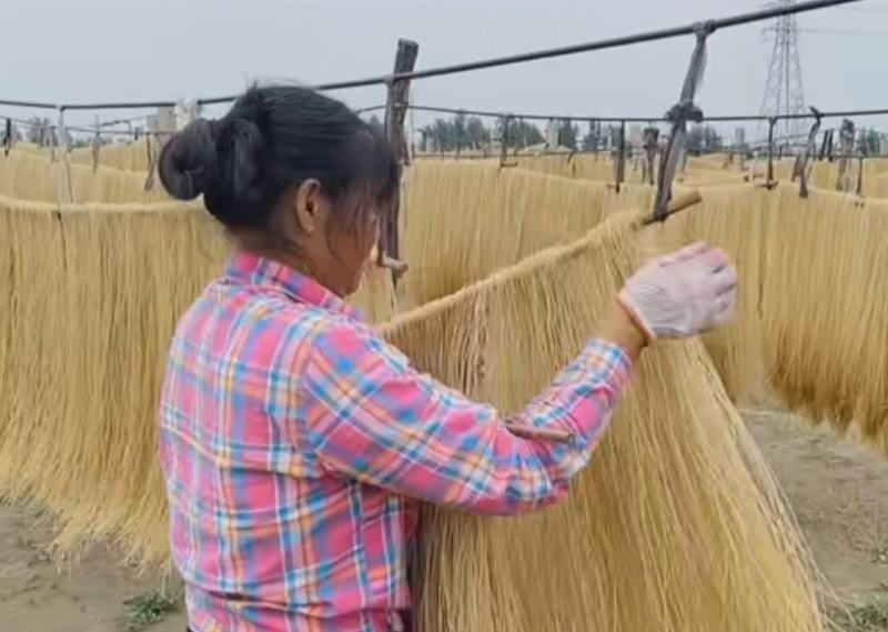 火锅粉粉条粉丝粉皮产品多多欢迎随时采