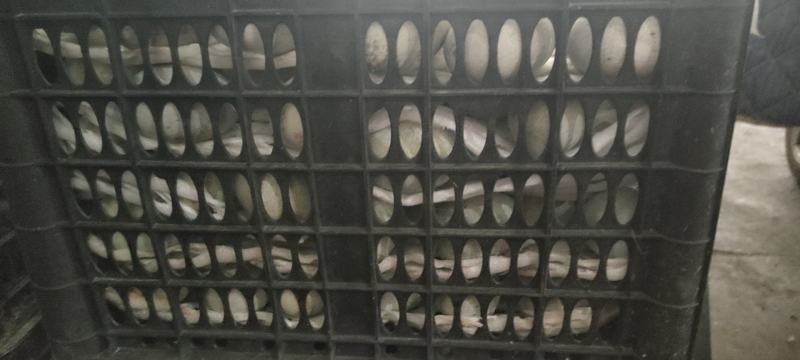 微山湖传统工艺松花蛋口感好溏心没有异味，欢迎全国各