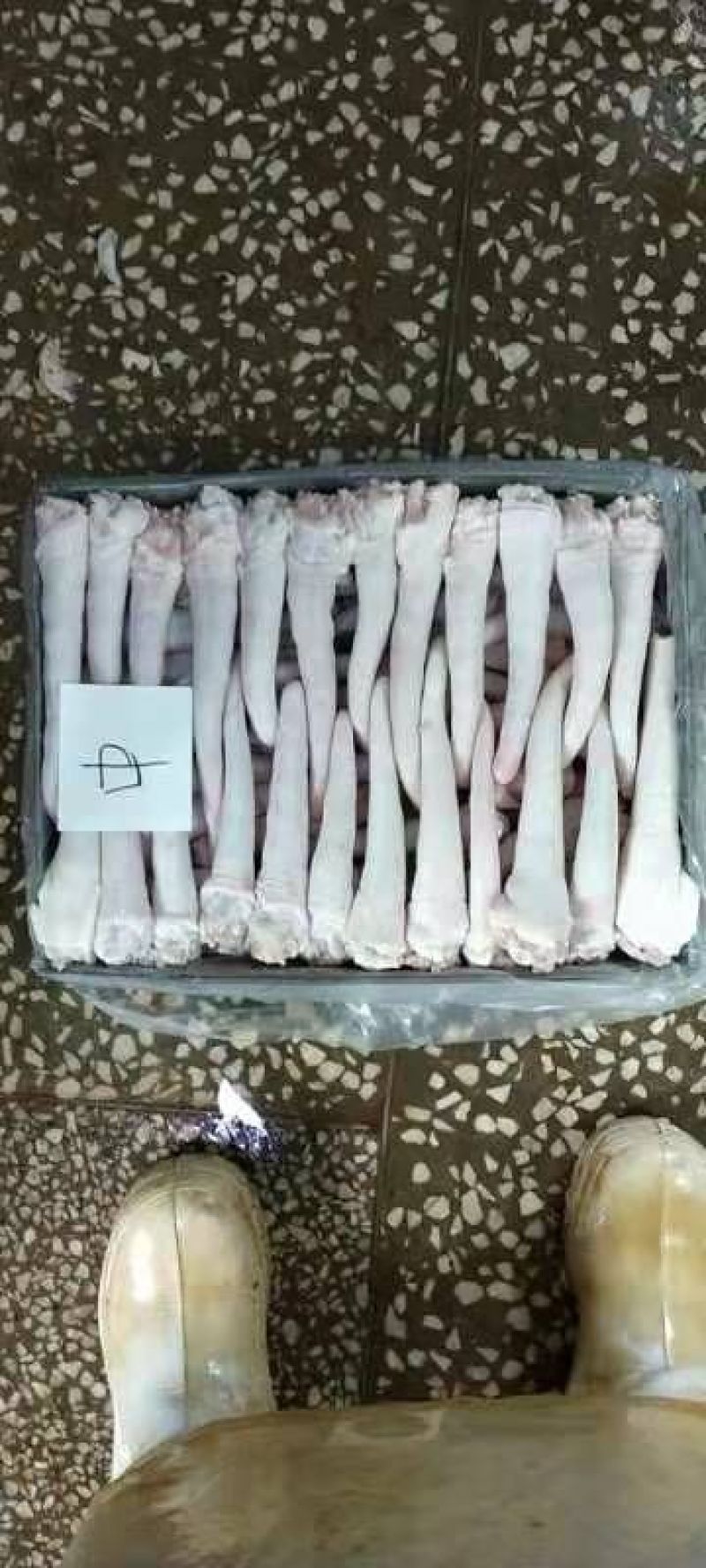 肥猪猪尾，东北厂家直销，花*少的钱买到*好的货！！！！！