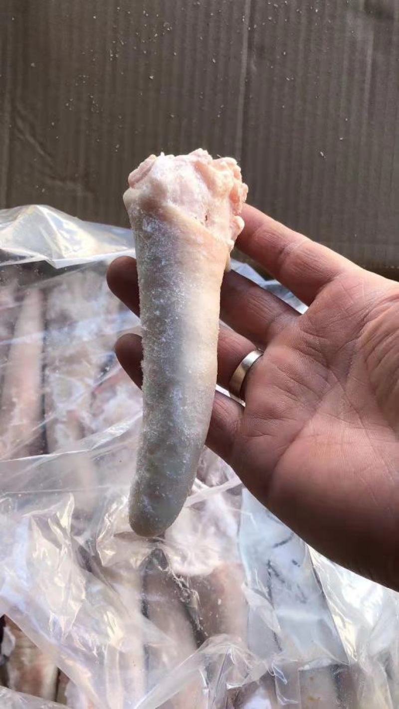 肥猪猪尾，东北厂家直销，花*少的钱买到*好的货！！！！！