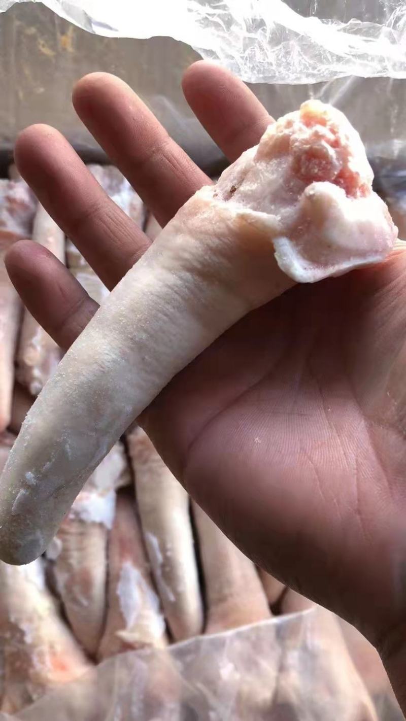 肥猪猪尾，东北厂家直销，花*少的钱买到*好的货！！！！！