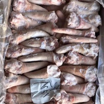 肥猪猪尾，东北厂家直销，花*少的钱买到*好的货！！！！！