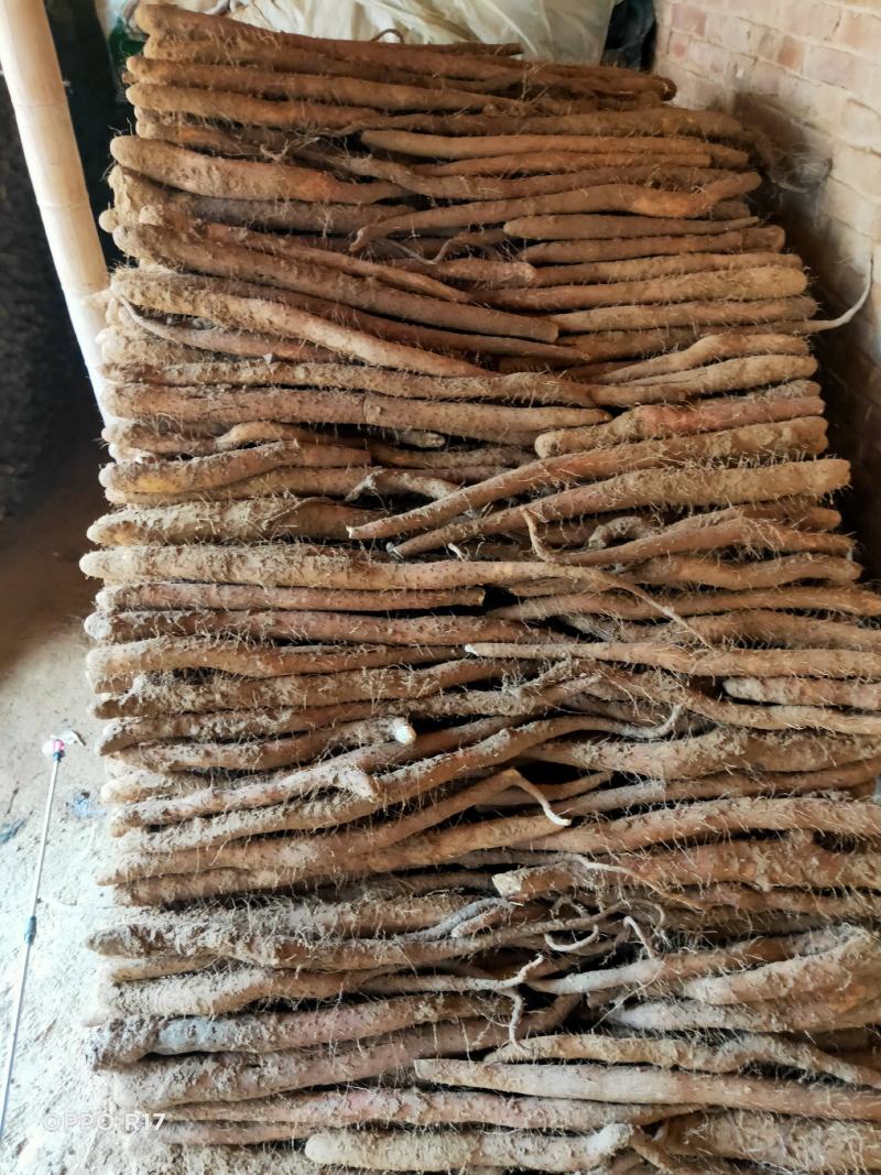 白玉山药一系列