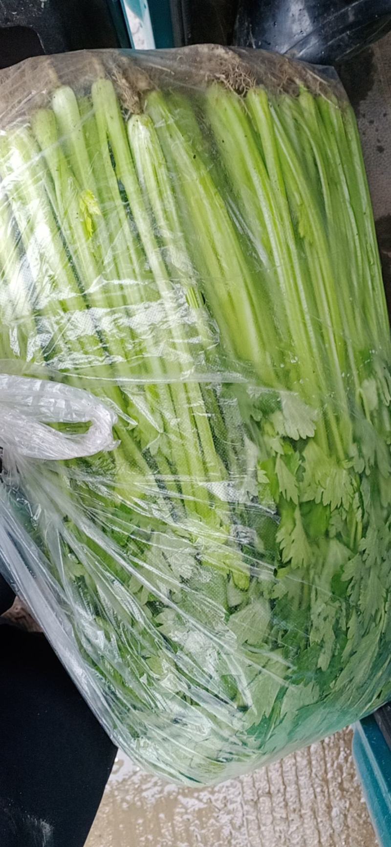 精品香芹，产地货源充足，欢迎大家来电咨询，