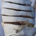 金昌鱼干