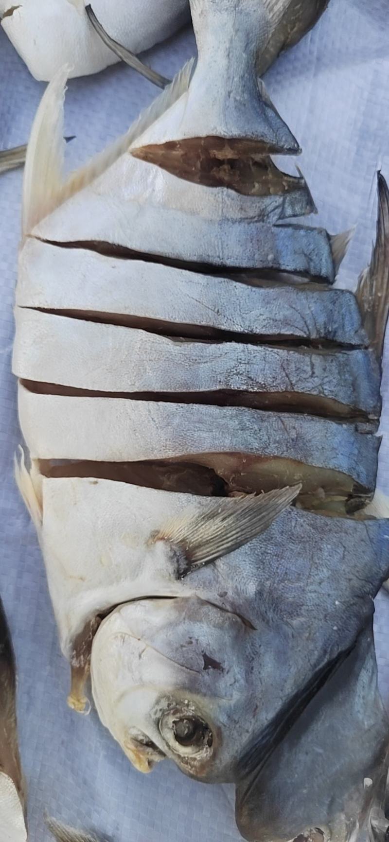 金昌鱼干
