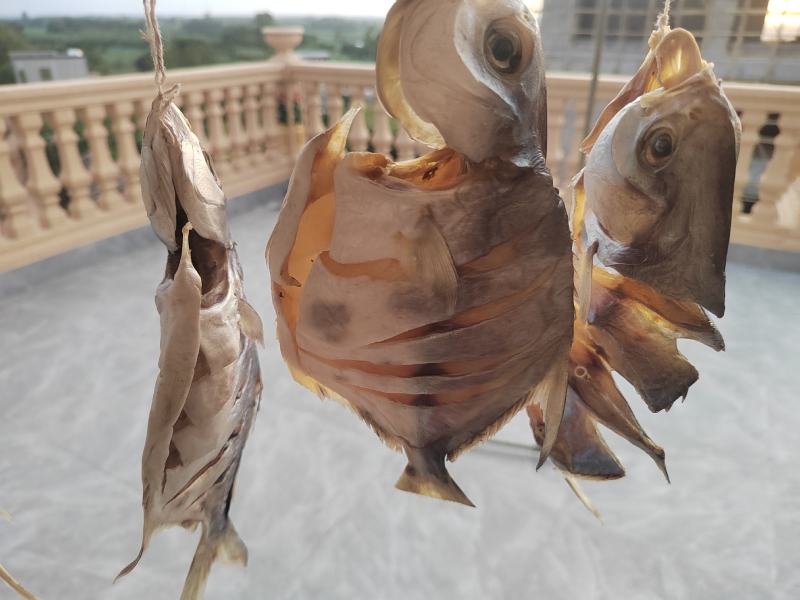 金昌鱼干