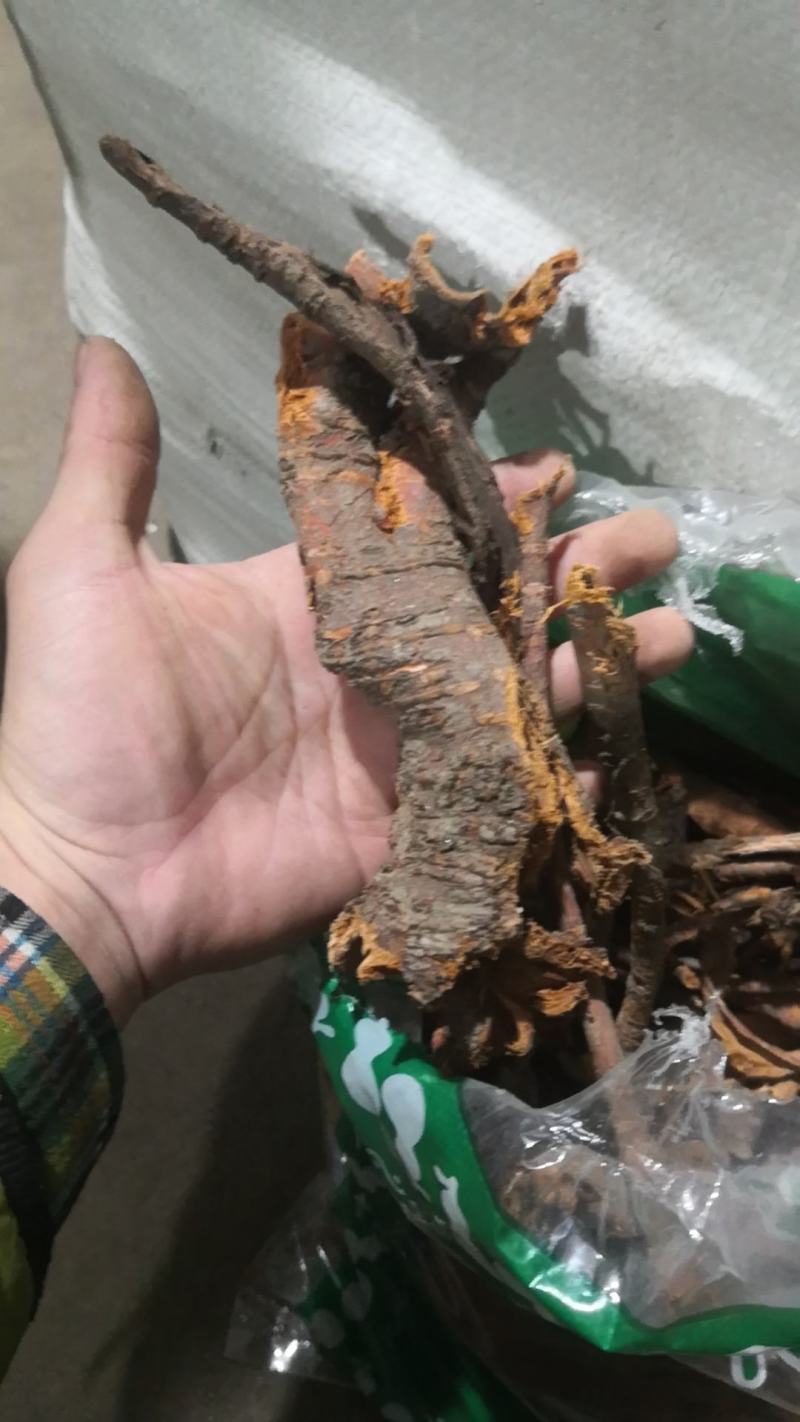 睇牛仔苦里根黎辣根不满意可退换货保证正品