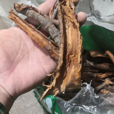 睇牛仔苦里根黎辣根不满意可退换货保证正品