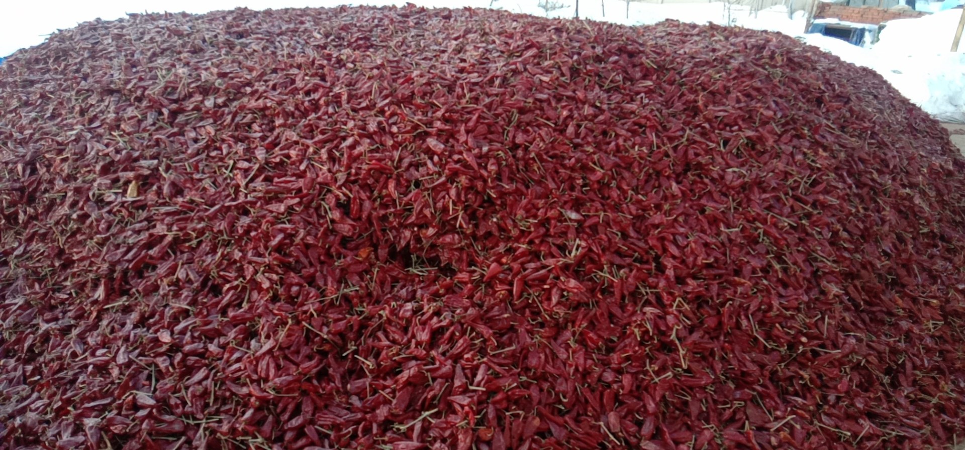干辣椒处理过程