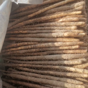 高质量白嘴大货，二路，三路，大量有货……