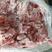 猪肉排骨碎肉碎骨肉排骨边修下来的碎骨肉