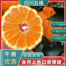 【精品】四川丑八怪不知火，脆甜化渣！电商社区市场大量有货