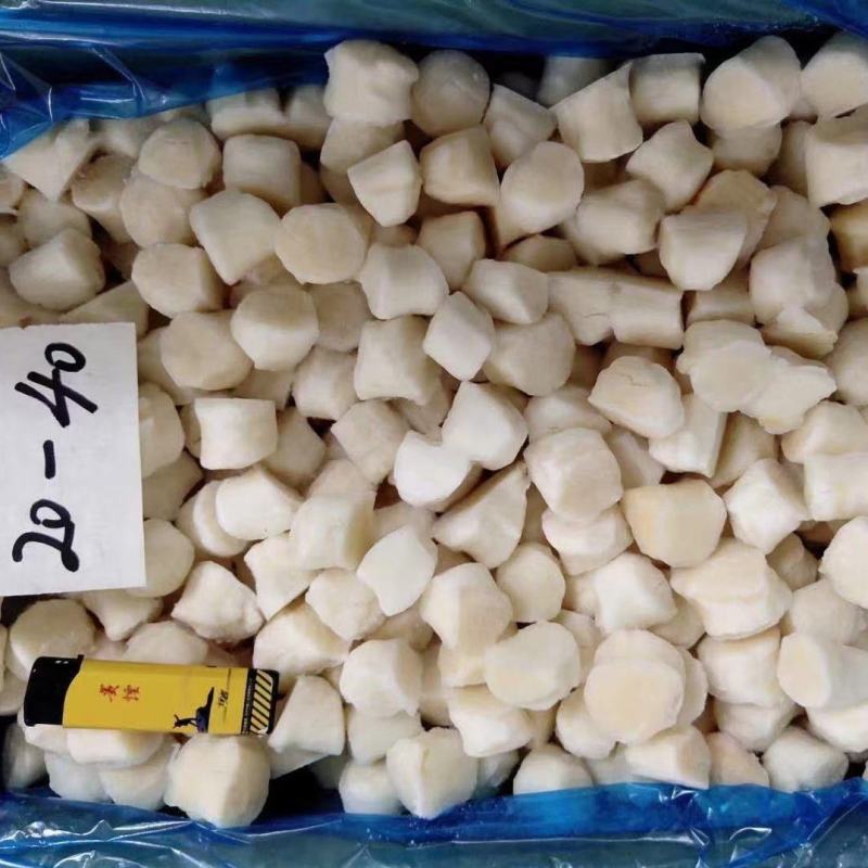 原汁原浆扇贝柱，扇贝丁，瑶贝柱诚信经营一手货源