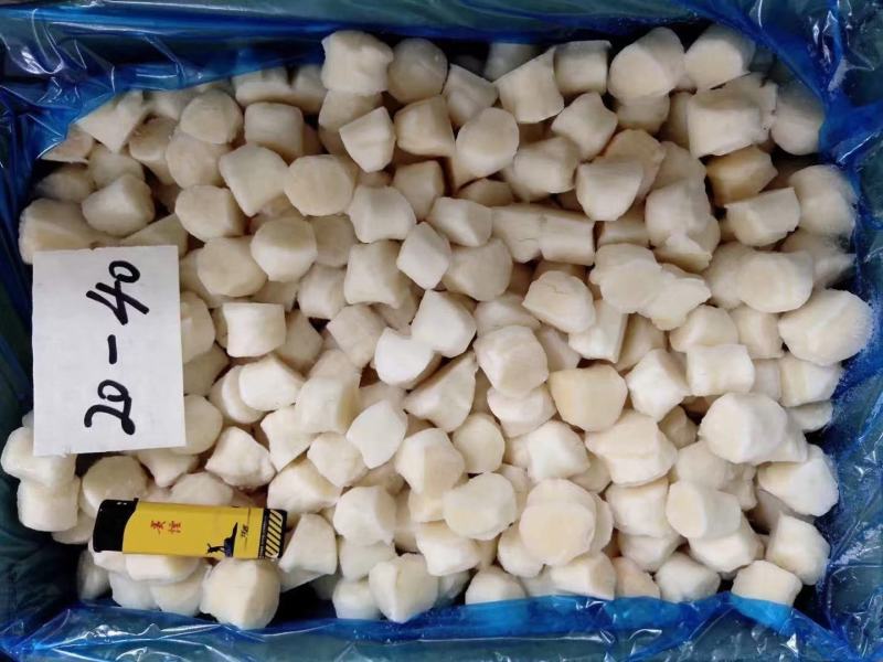 原汁原浆扇贝柱，扇贝丁，瑶贝柱诚信经营一手货源