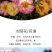 太阳花种子