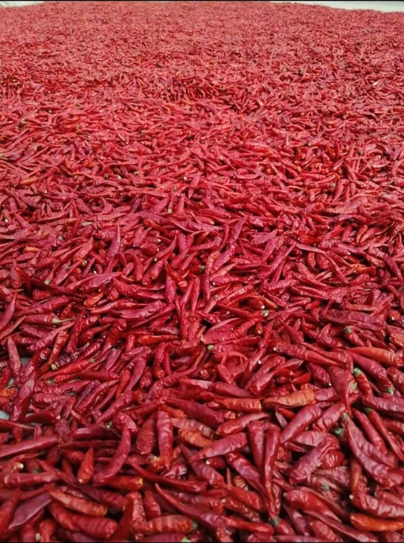 小米椒干辣椒