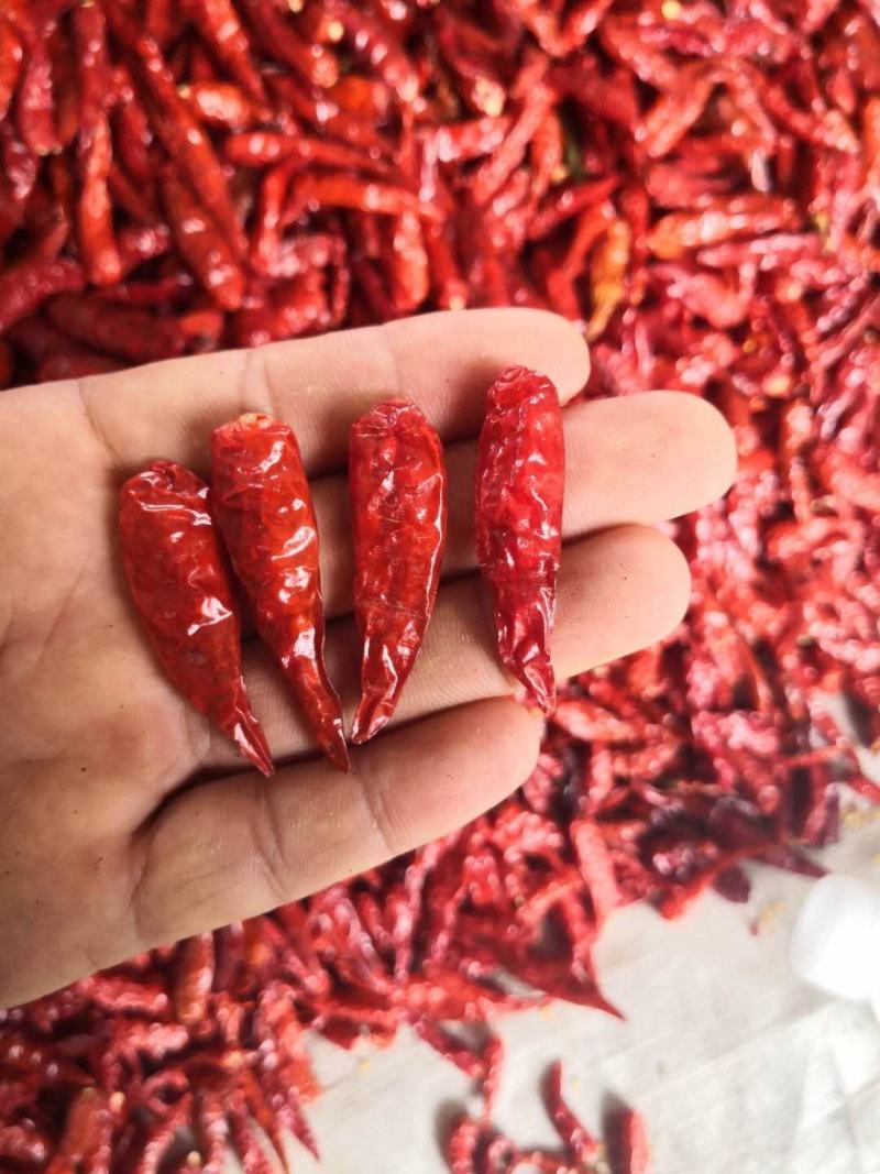小米椒干辣椒