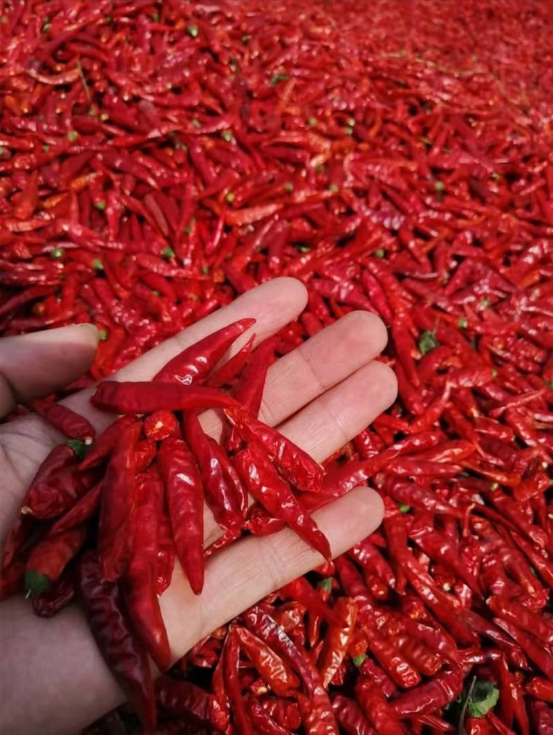 小米椒干辣椒