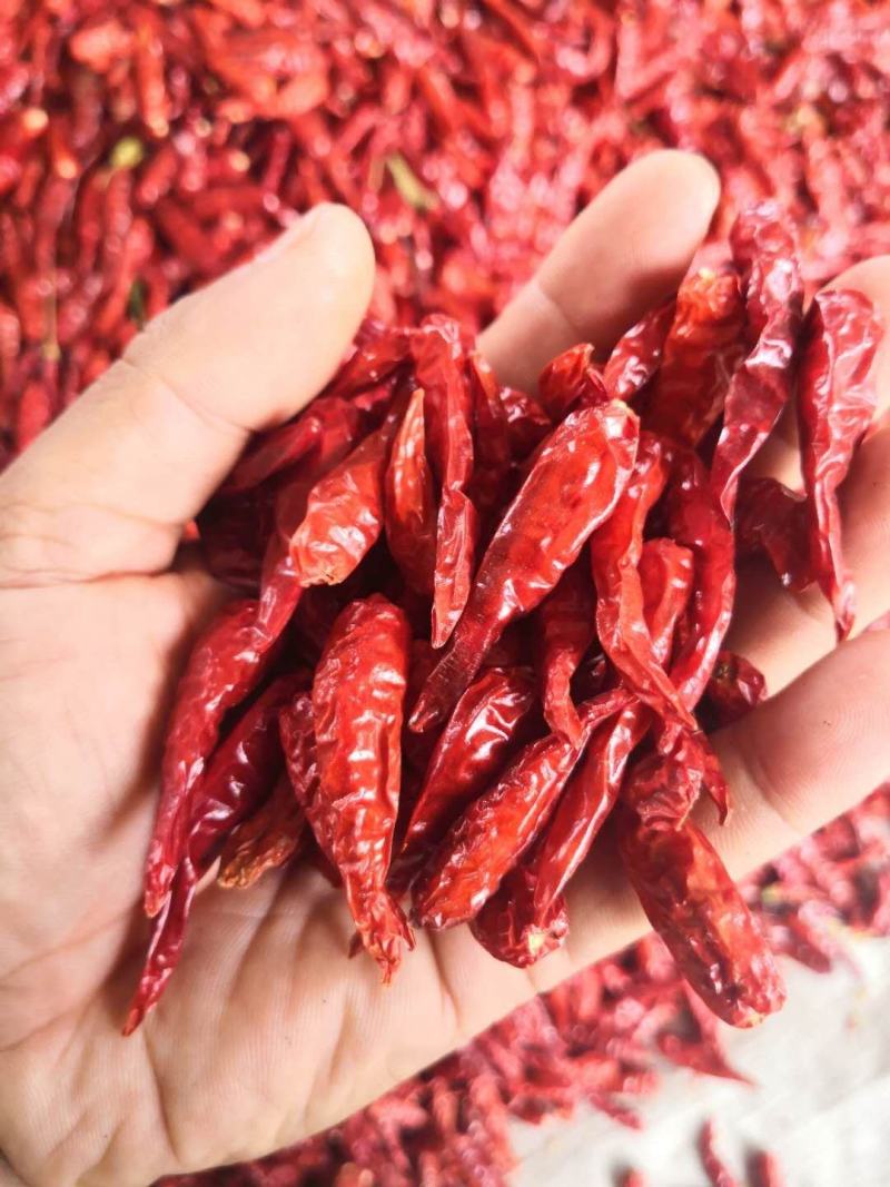 小米椒干辣椒