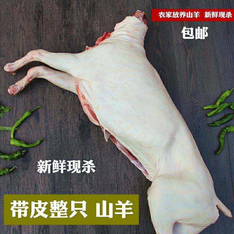 黑山羊肉