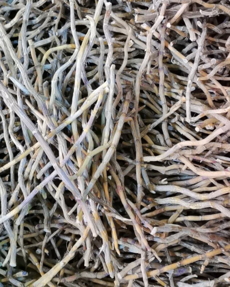 铁皮石斛长条，全化渣，胶质满满，一手货源，质量保证
