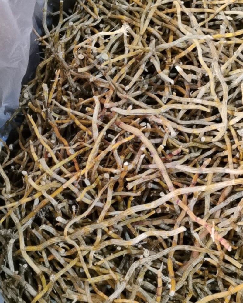 铁皮石斛长条，全化渣，胶质满满，一手货源，质量保证