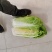 白菜