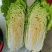 白菜