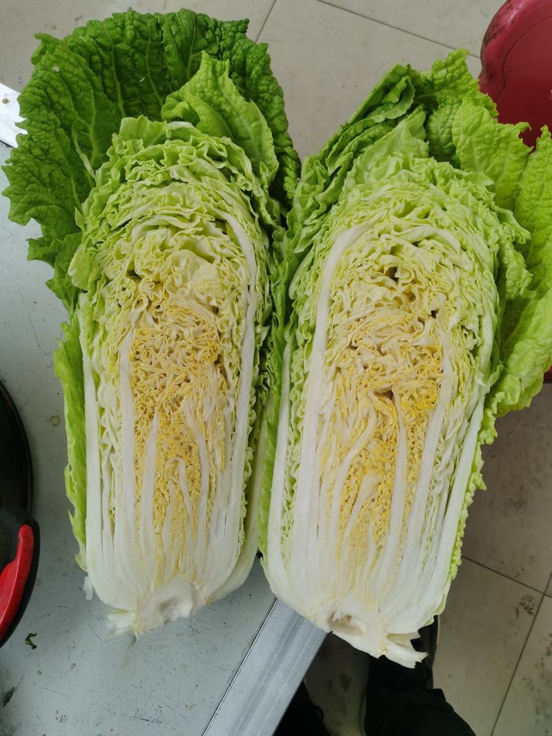 白菜
