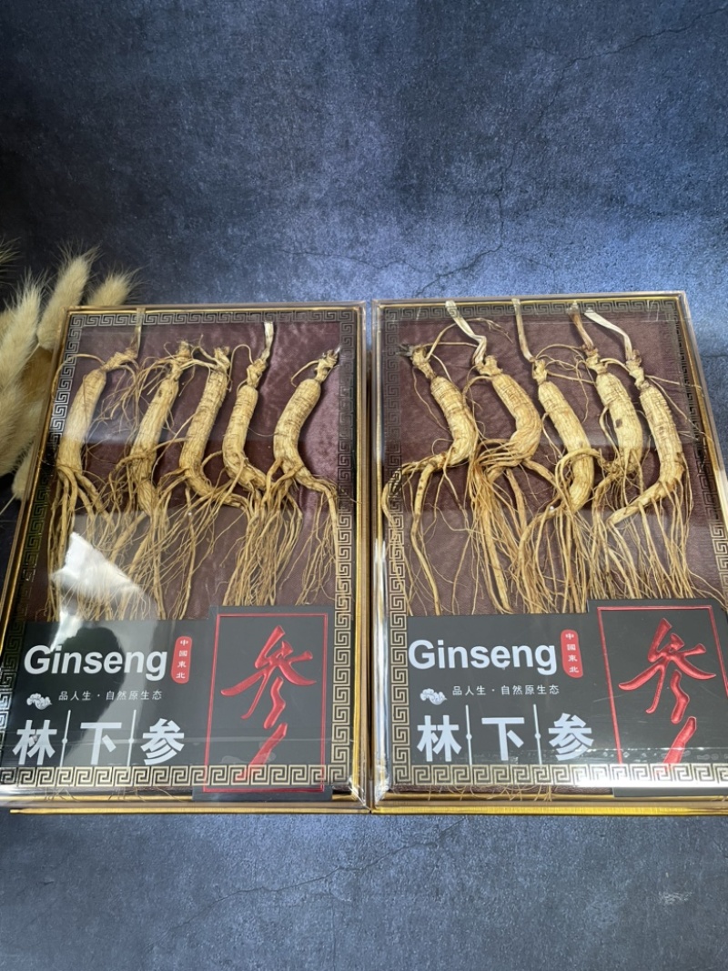 林下参林下参礼盒装一盒5支精品林下参搭配礼盒