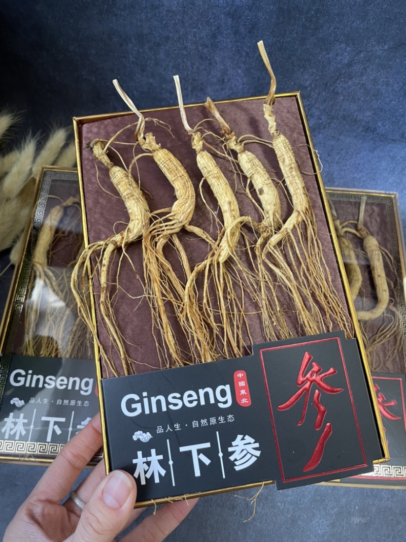 林下参林下参礼盒装一盒5支精品林下参搭配礼盒