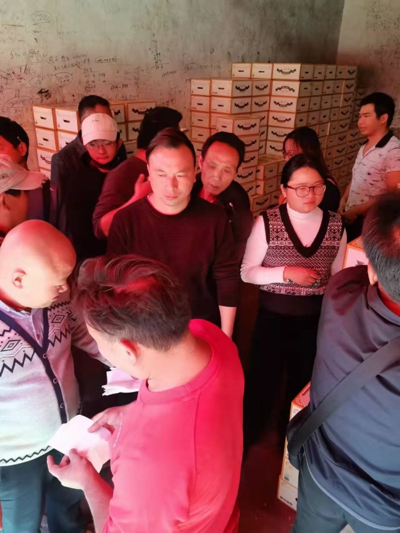 褚橙大量到货物美价廉口感纯甜全国各地可发货已上市