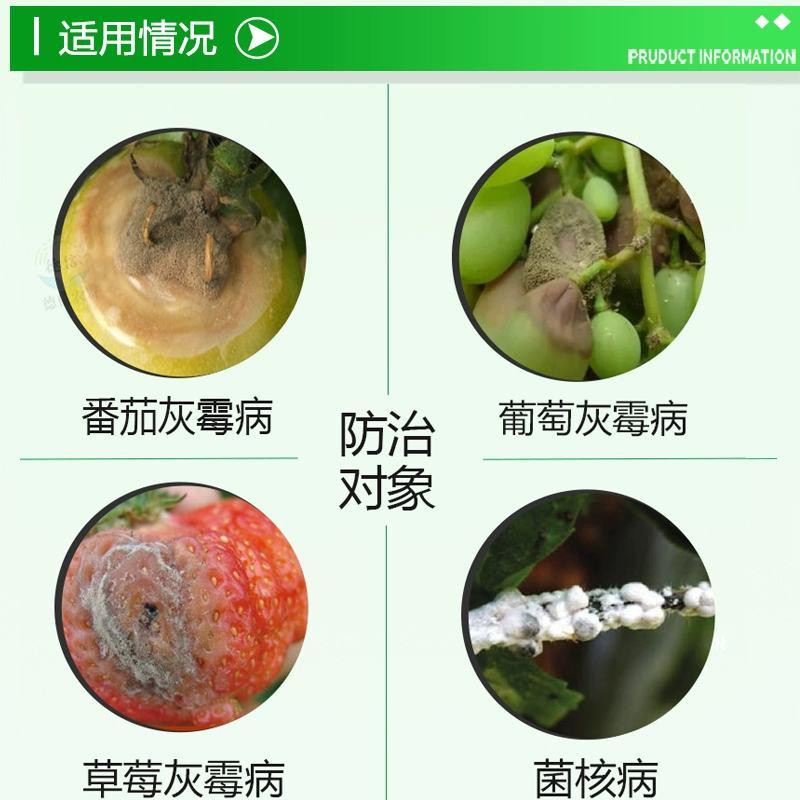 40%异菌脲腐霉利蔬菜番茄辣椒草莓黄瓜灰霉病叶霉病农药