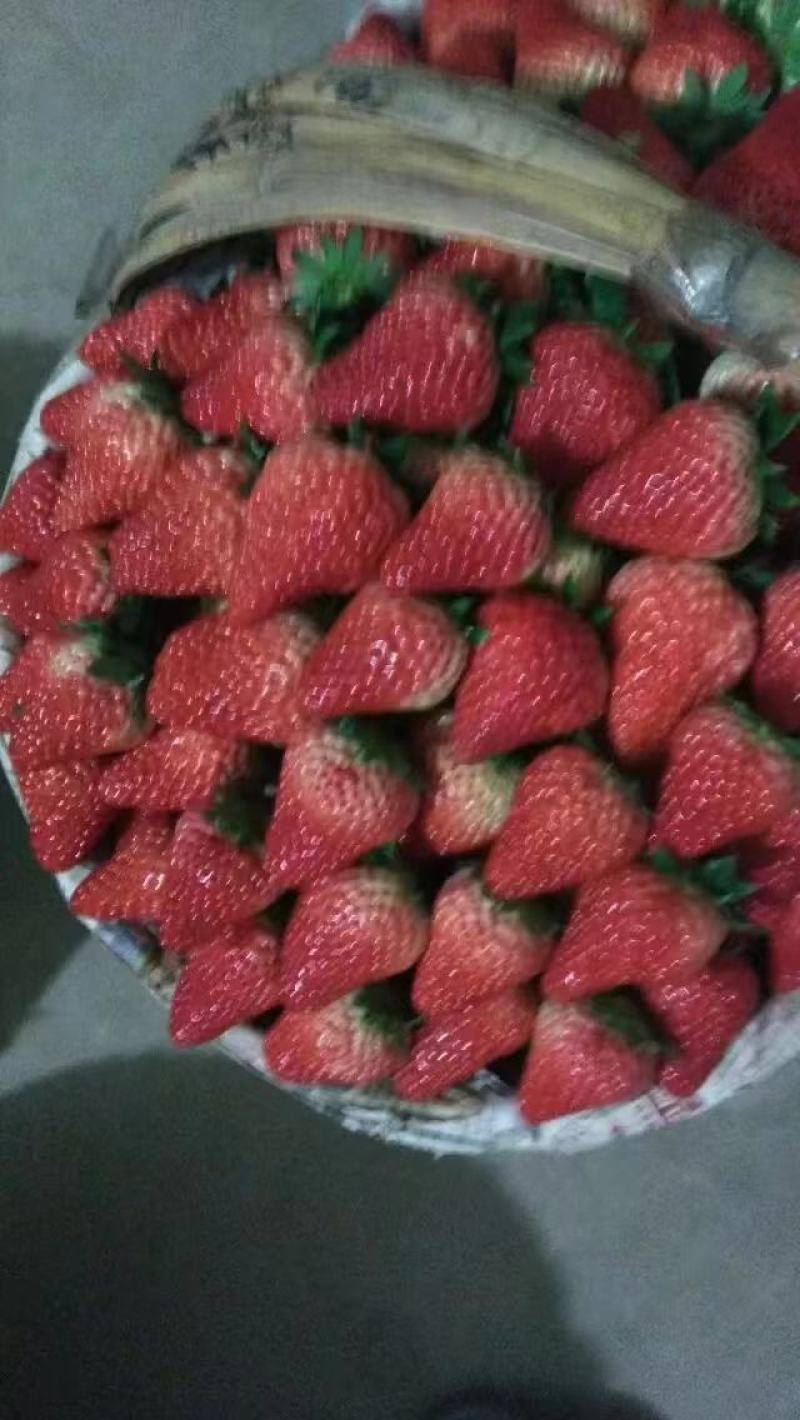 【一件代发】供电商商超社区红颜草莓精品发货欢迎品尝