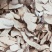 茶树根老茶根产地直发量大优惠代抓各种药方