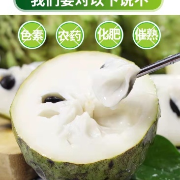 牛奶凤梨释迦果新鲜水果番茄枝当季亚热带稀有水果释迦摩尼大