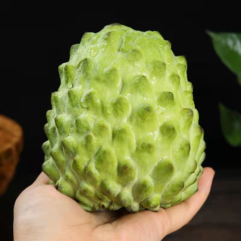牛奶凤梨释迦果新鲜水果番茄枝当季亚热带稀有水果释迦摩尼大