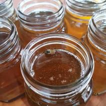 正宗土蜂蜜农家天然蜂蜜自然成熟蜜gx68875
