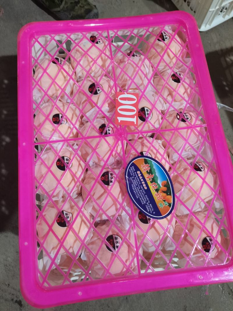 伦晚脐橙中华红脐橙糖分高口感纯甜个大薄皮多汁果肉颗粒饱满