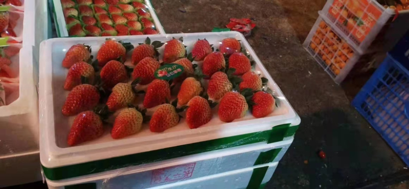 【精品】优质红颜草莓大量上市品质优供应市场商超电商
