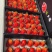 【精品】优质红颜草莓大量上市品质优供应市场商超电商