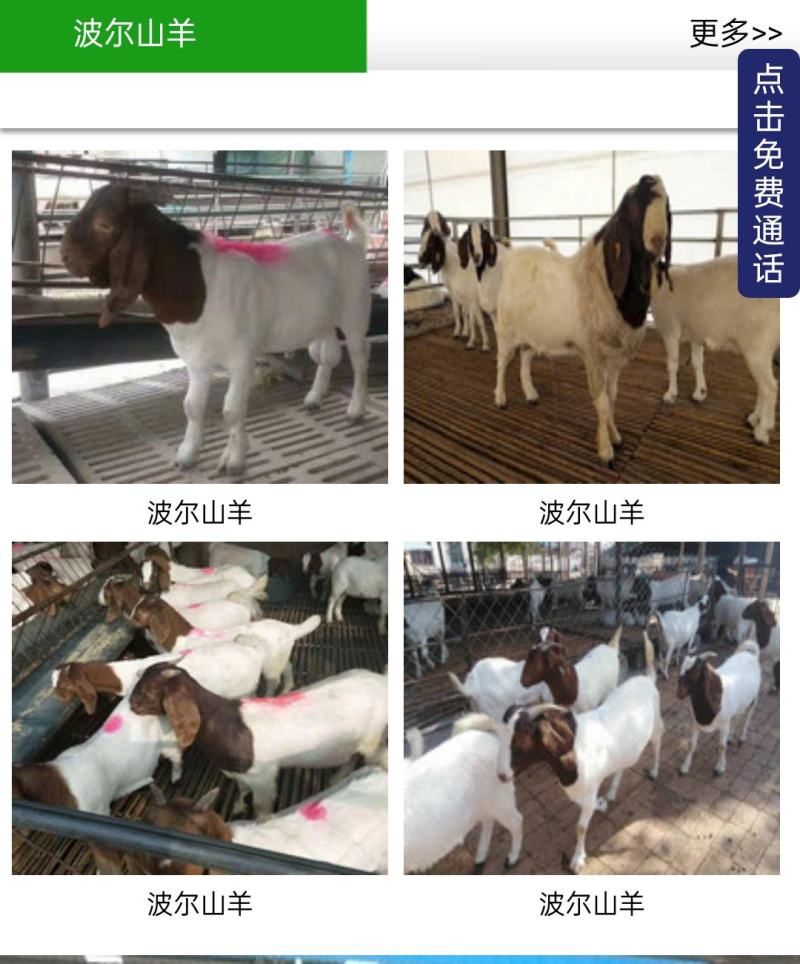 波尔山羊，成长发育快，耐寒耐热，抗病能力强，适应能力强，