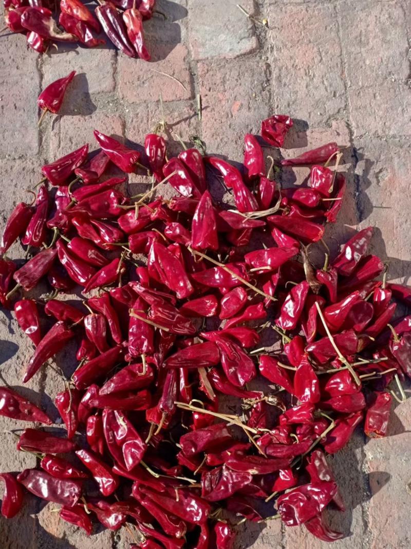 北京红千斤红辣椒🌶️内蒙主产区红干椒大量上市代发