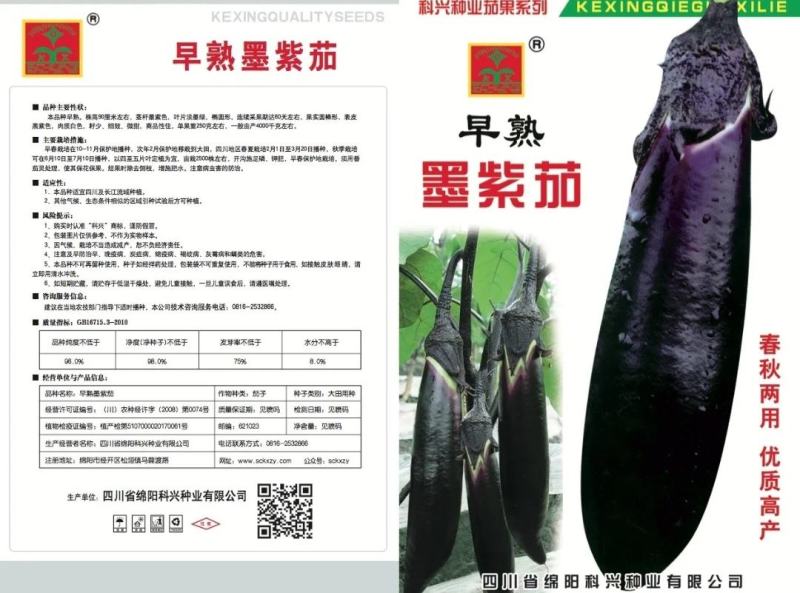 【一手货源】早熟墨紫茄子种子墨茄种子春秋两用茄子种子