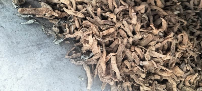 四川巴中高山精选优质野生天麻林下自然生长天麻无硫